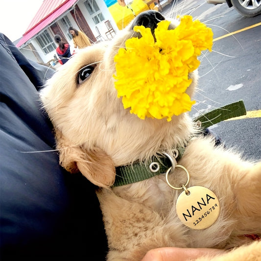 Médaille personnalisée pour chien, ronde avec une patte gravée sur la face avant, diverses couleurs