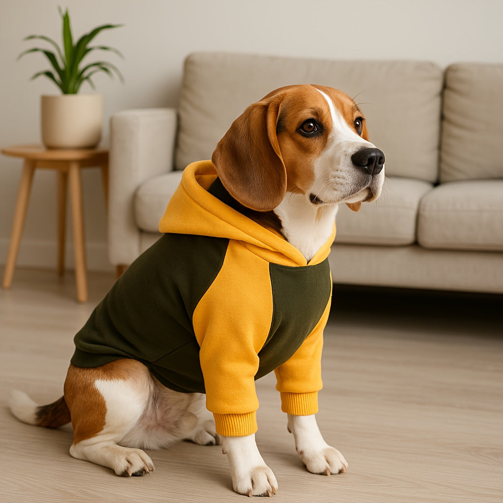 Pull d'hiver classique pour chien avec capuche et poches