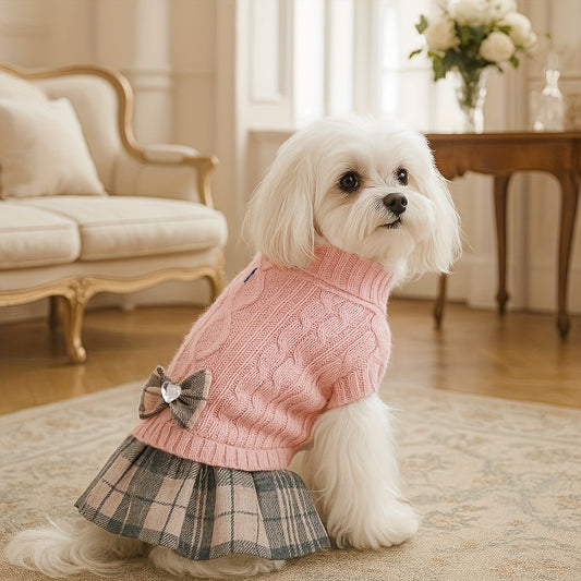 Robe-pull pour petits chiens Pull à col roulé chaud pour chien