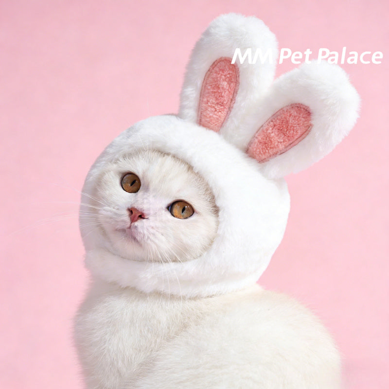 Casque tout doux à oreilles de lapin pour chat, costume mignon pour Pâques, lavable à sec uniquement