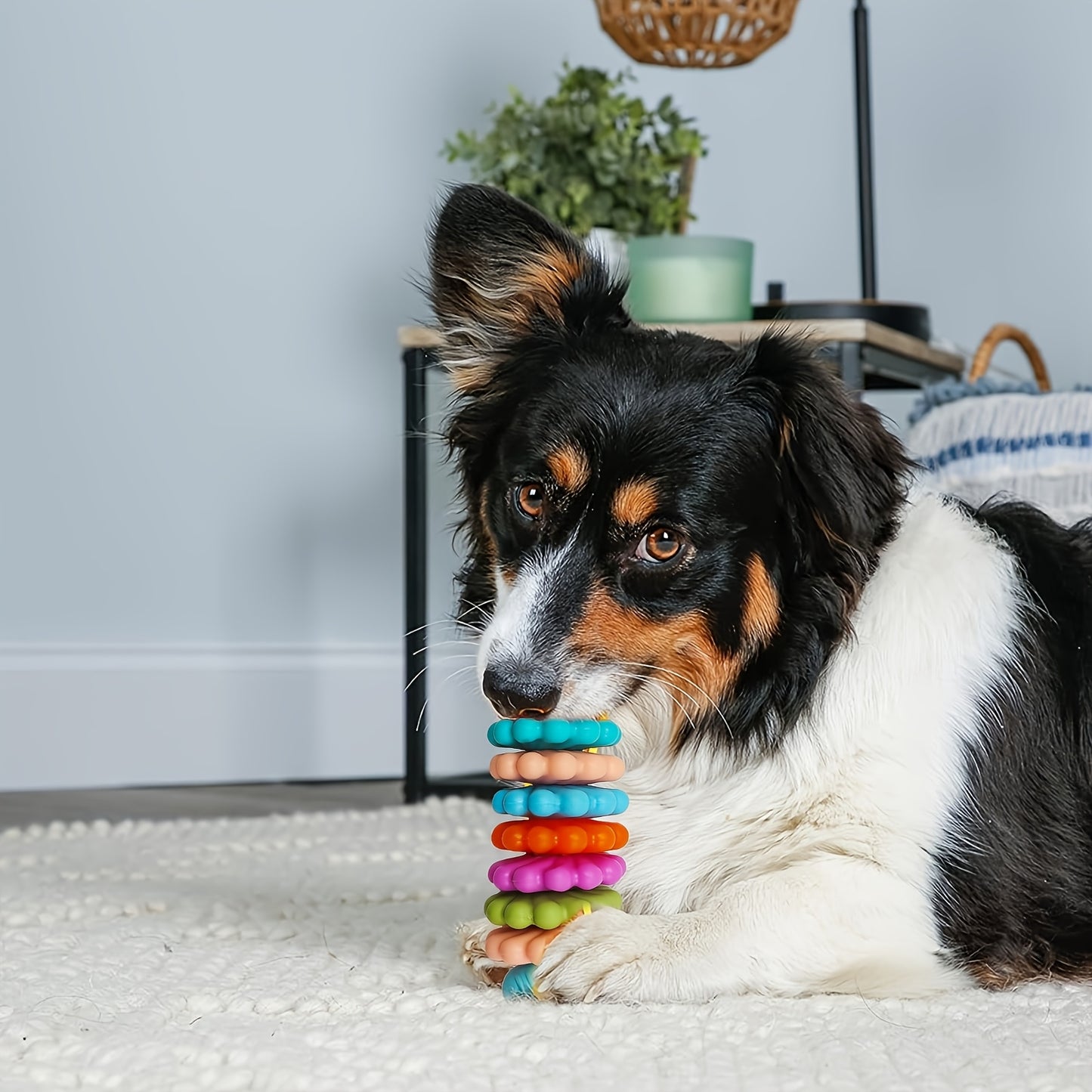 Jouets à mâcher pour chiens en forme d'os - Jouets dentaires résistants aux morsures pour nettoyer les dents, idéal pour l'élimination de la plaque dentaire