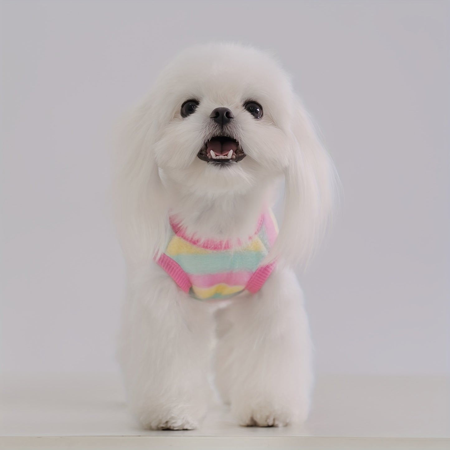 Gilet douillet en polaire pour chien avec jolis motifs d'animaux : lapin, escargot, grenouille, poney, etc - idéal pour les petites races - lavable à la main uniquement