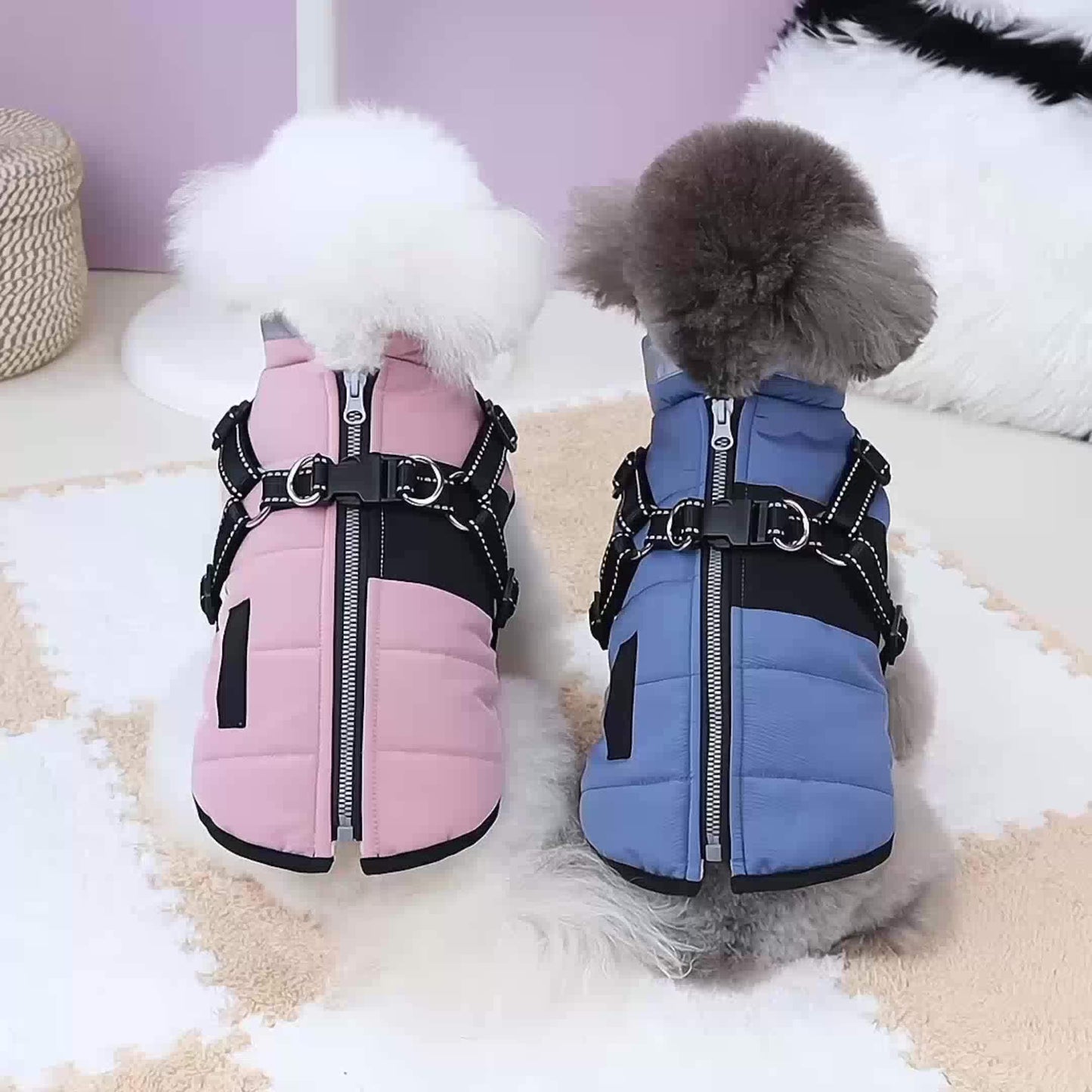 Veste épaisse avec col , disponible en beige,rose ou bleu, fermeture à boucle réglable pour les animaux de taille XS à M (utilisation à l'intérieur et à l'extérieur) - Manteau rembourré doux