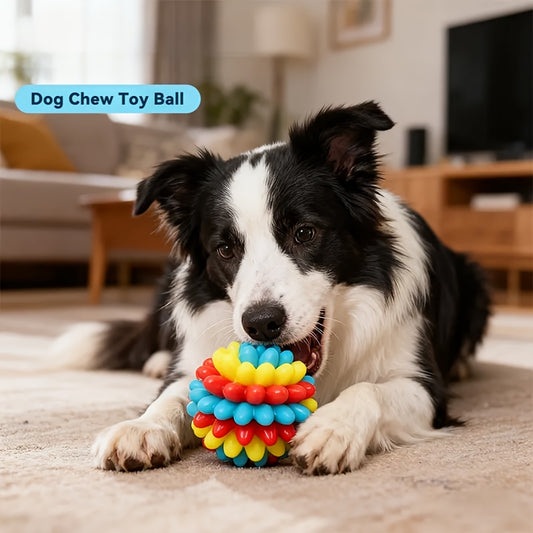 Jouet à mâcher indestructible pour chien, petite balle pour mastication, nettoyage des dents et massage des gencives - couleurs vives