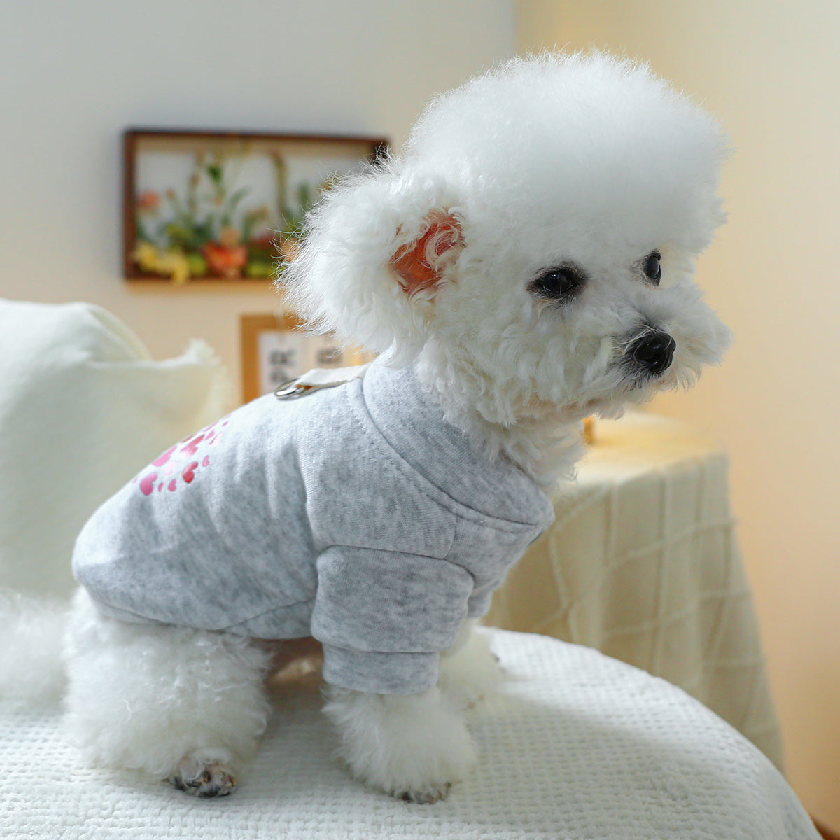 Pull pour chien, gris avec des petits cœurs rouges et roses, anneau intégré pour pouvoir aller en balade