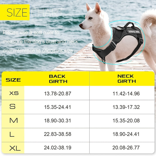 Harnais de sécurité pour chien, réfléchissant, confortable, possibilité de personnaliser les bandes latérales, diverses couleurs