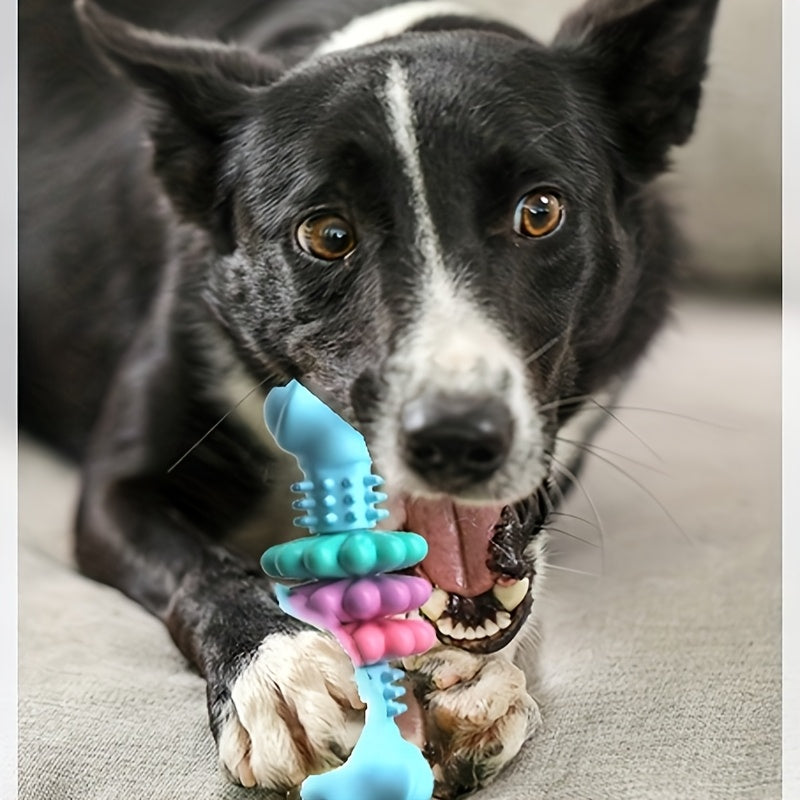Jouet à mâcher pour chiens, résistant aux morsures, jouet en forme d'os, diverses couleurs
