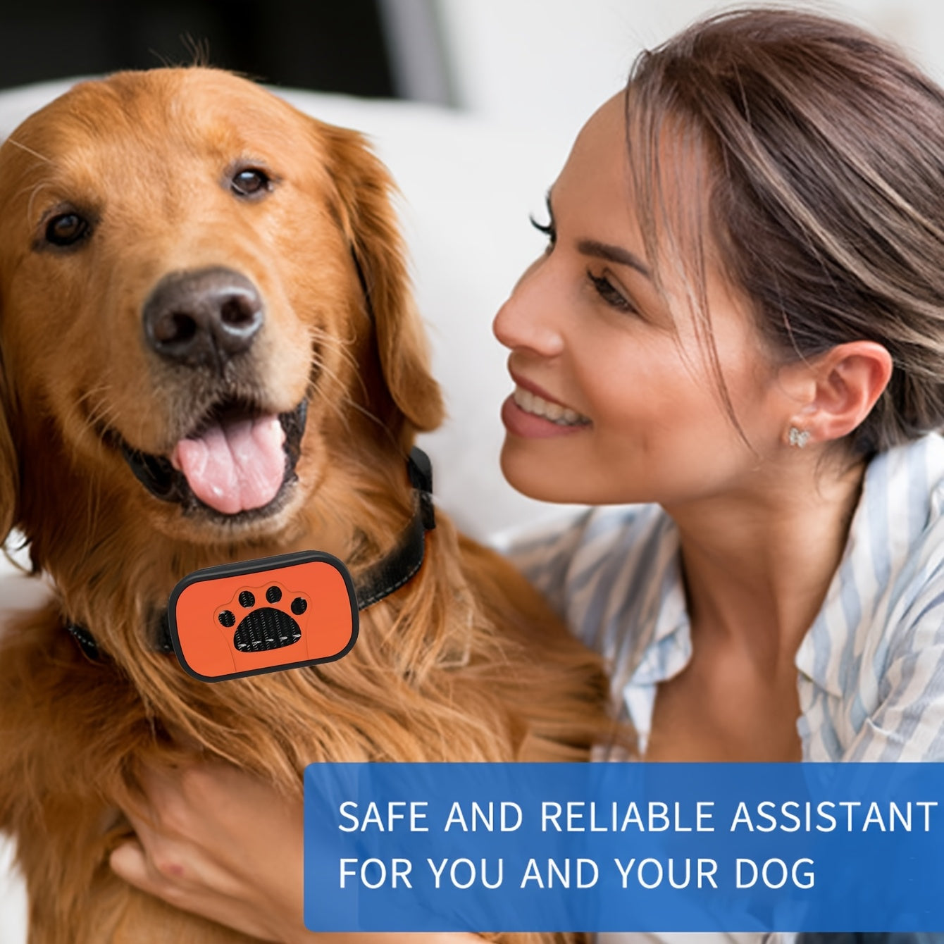 Collier anti-aboiement intelligent pour chien, système de vibration, indolore, rechargeable par USB, diverses couleurs