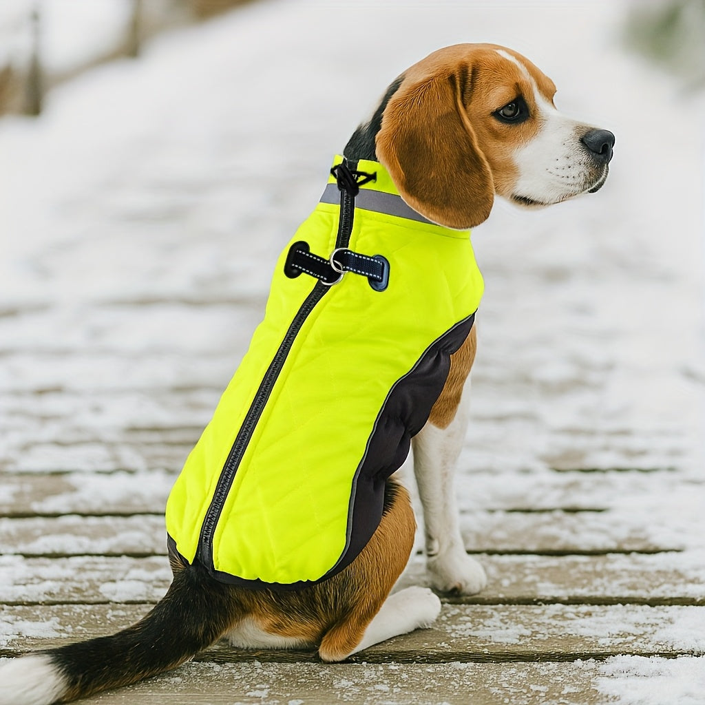 Veste fluorescente verte pour chien - Manteau à fermeture éclair facile à enfiler, idéal pour les chiens de toutes tailles