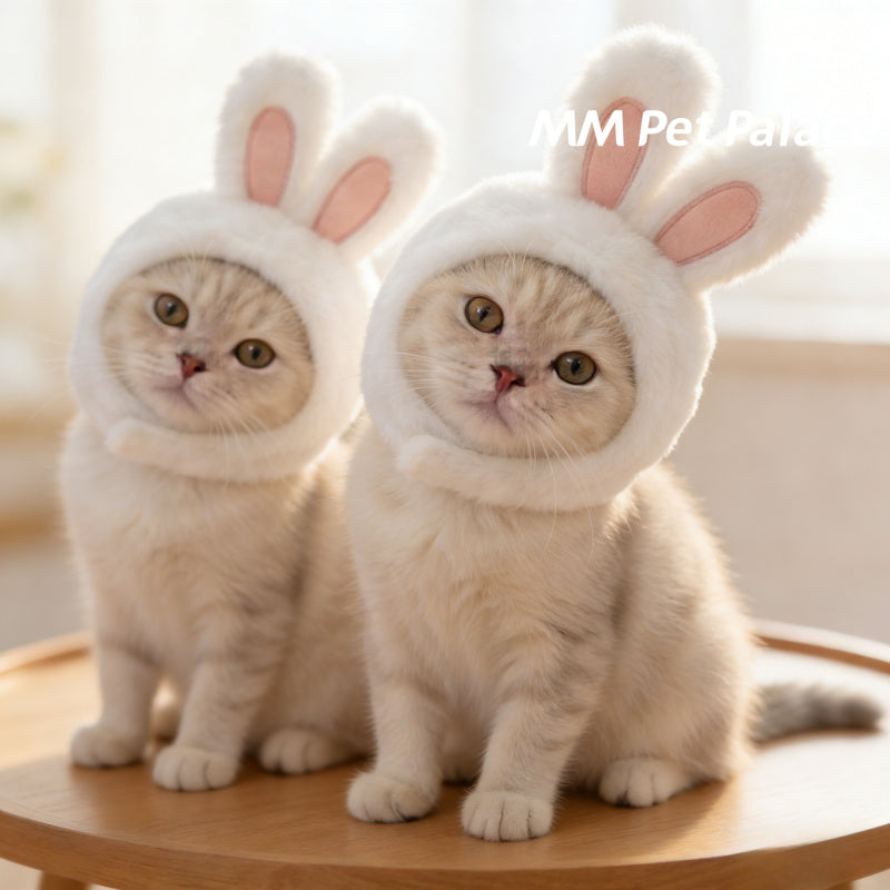 Casque tout doux à oreilles de lapin pour chat, costume mignon pour Pâques, lavable à sec uniquement