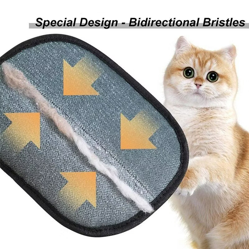 Gant amélioré pour éliminer les poils de chiens et chat sur toutes surfaces, diverses couleurs