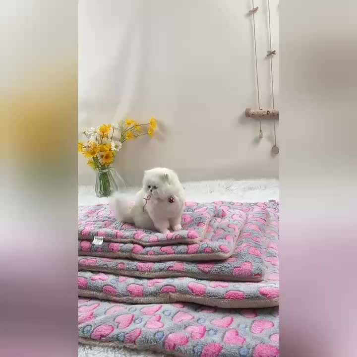 Tapis double épaisseur pour chien et chat, chaud et confortable, divers motifs imprimés, diverses couleurs