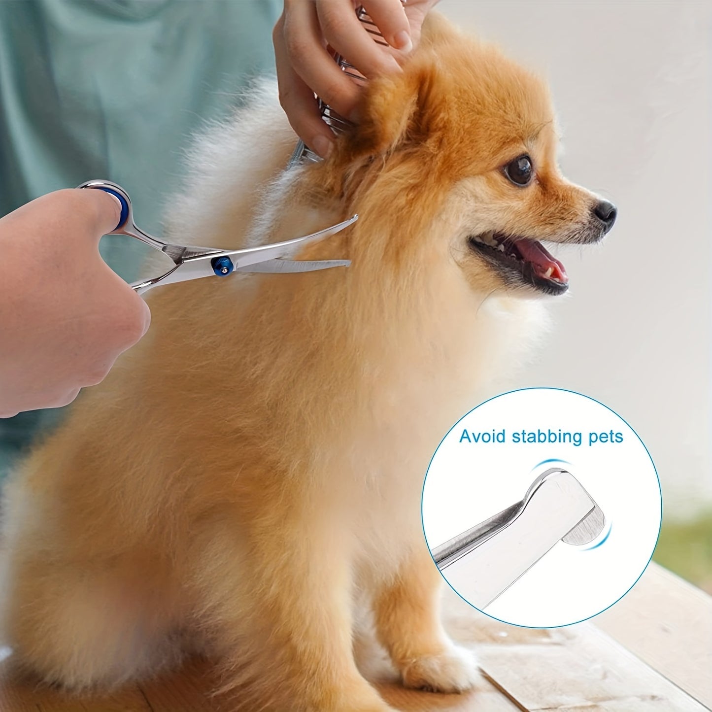 Ciseaux de toilettage courbés pour le toilettage des animaux de compagnie, sécurisé grâce à la pointe arrondie, acier inoxydable