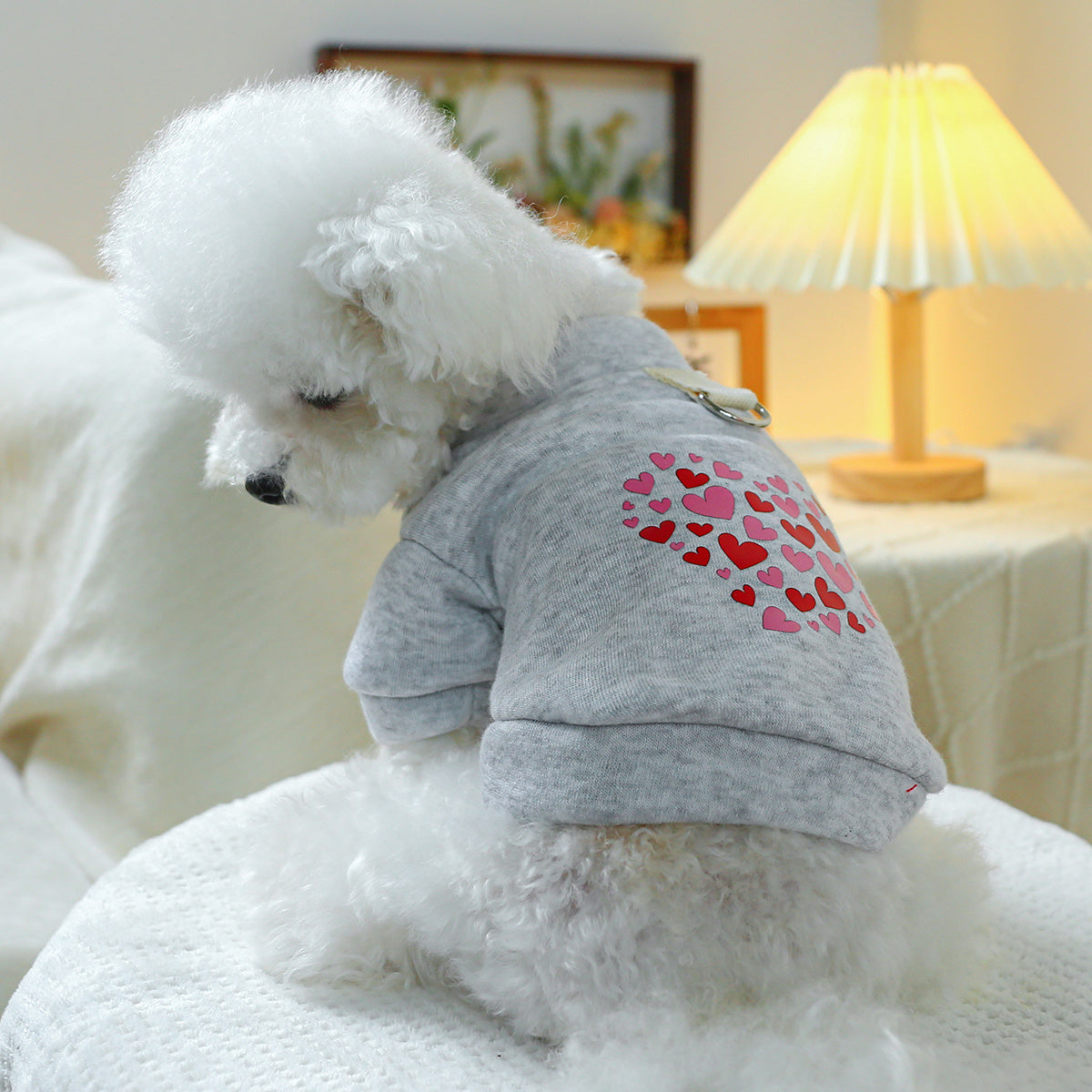 Pull pour chien, gris avec des petits cœurs rouges et roses, anneau intégré pour pouvoir aller en balade