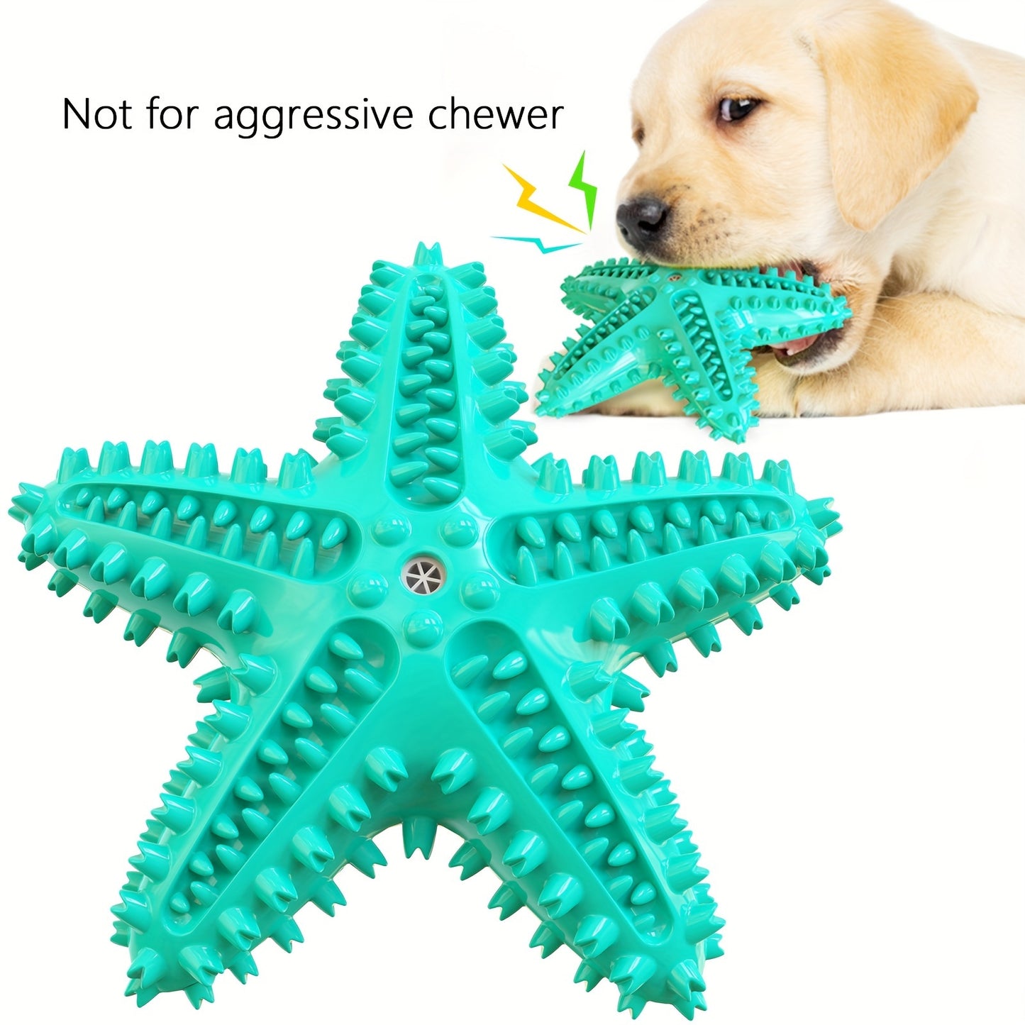 Jouet à mâcher interactif pour chien, pour jouer avec les molaires, en forme d'étoile de mer, résistant et qui couine, diverses couleurs