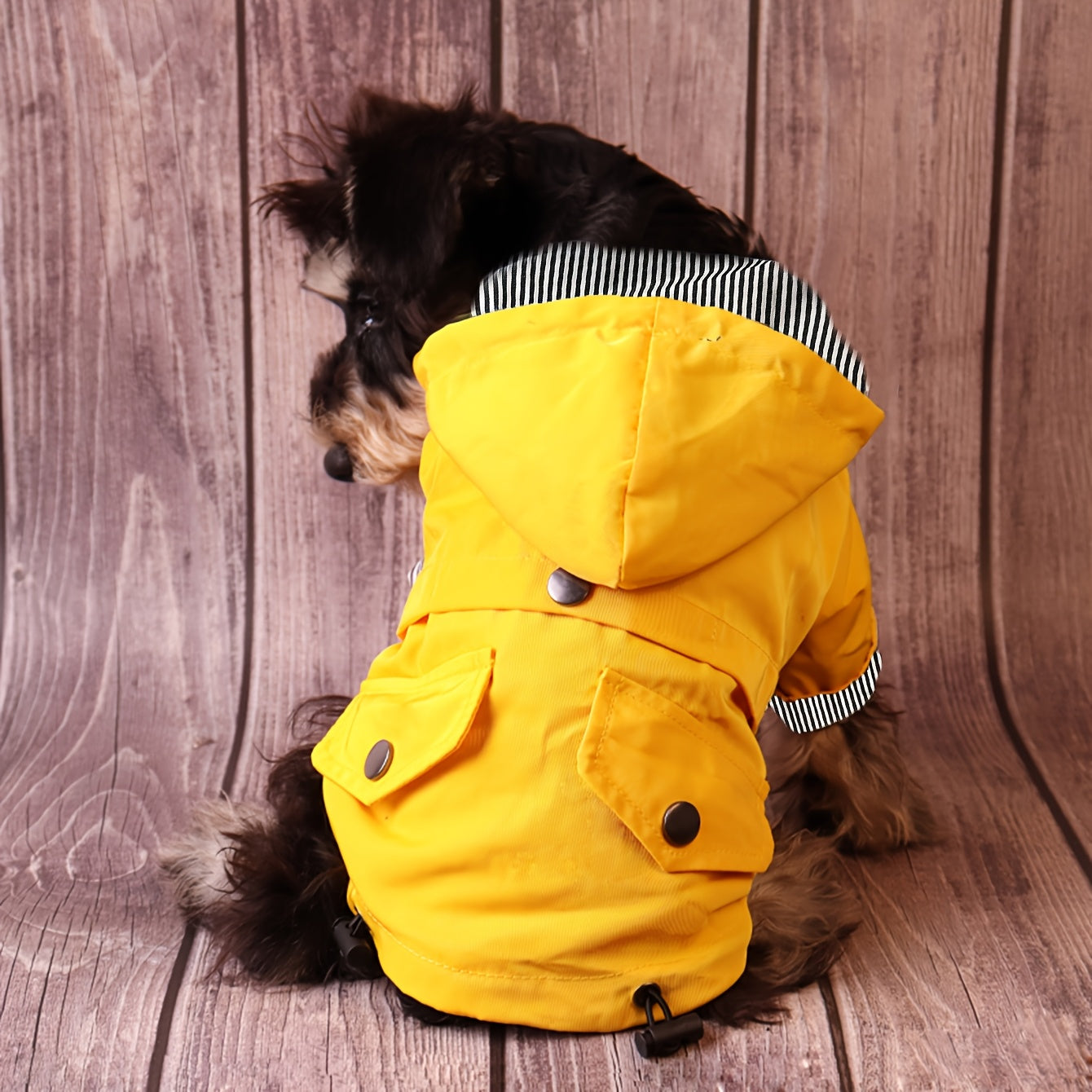 Gardez votre chiot ou petit chien au chaud et au sec grâce à cette élégante veste imperméable à rayures !