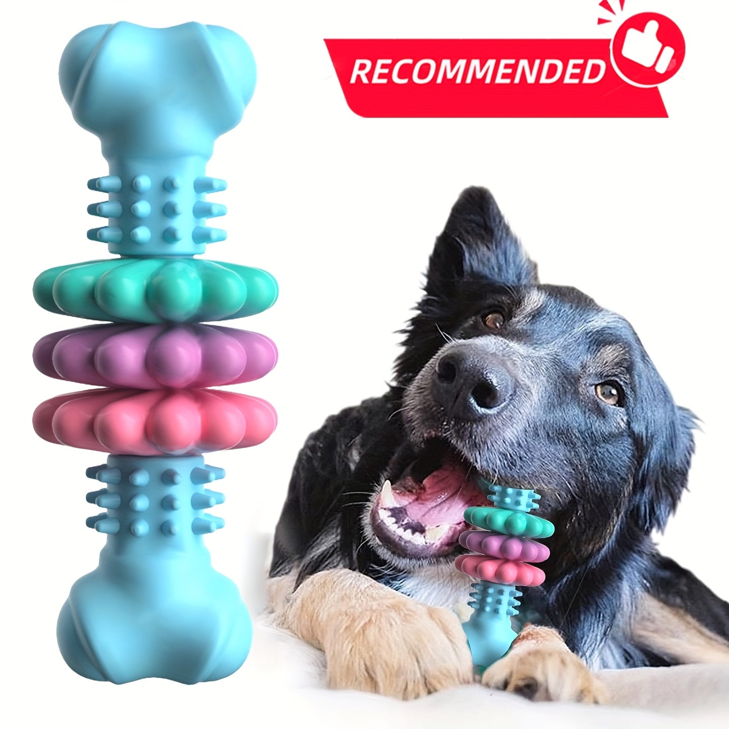 Jouet à mâcher pour chiens, résistant aux morsures, jouet en forme d'os, diverses couleurs