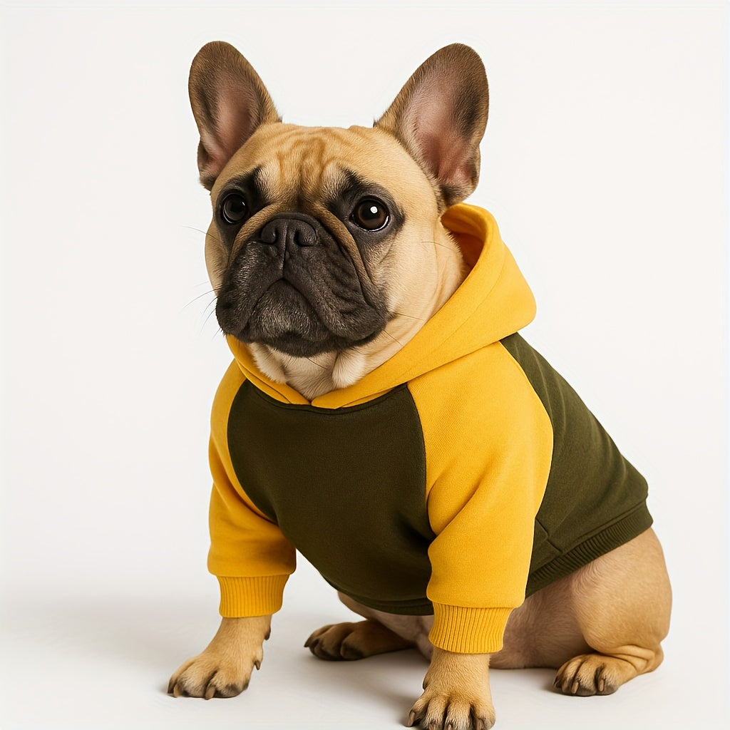Pull d'hiver classique pour chien avec capuche et poches