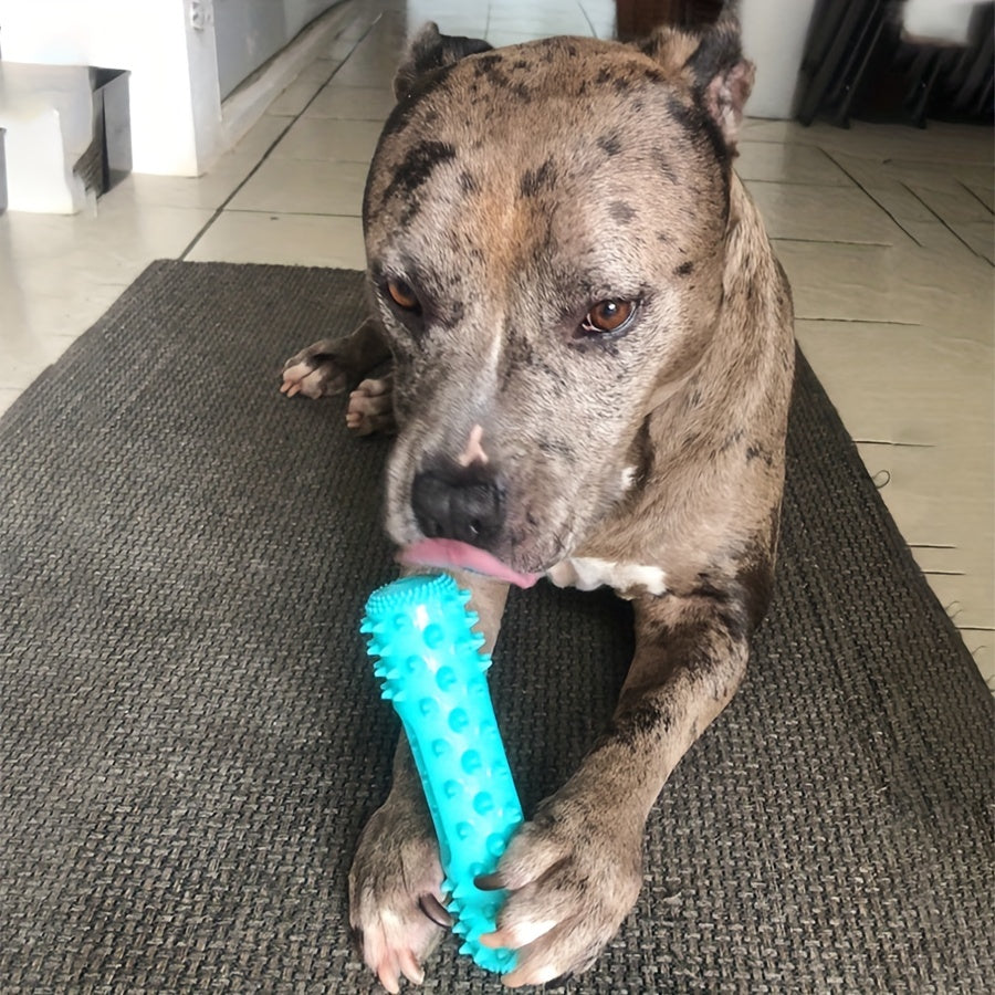 Jouet à mâcher pour chien, bâton moléculaire résistant aux morsures, nettoyant les dents, jouet éducatif d'entraînement