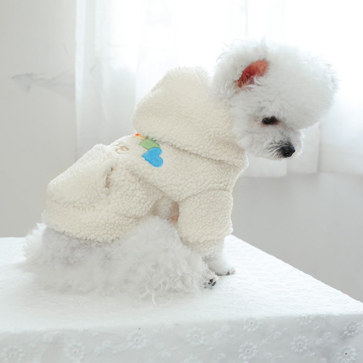Sweat à capuche en polaire blanc avec des petits cœurs de toutes les couleurs pour chiens, confortable et chaud