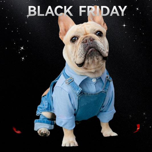 Vêtements pour bouledogue français Vêtements pour chien en simili-denim Combinaisons Manteau d'automne-hiver pour chien