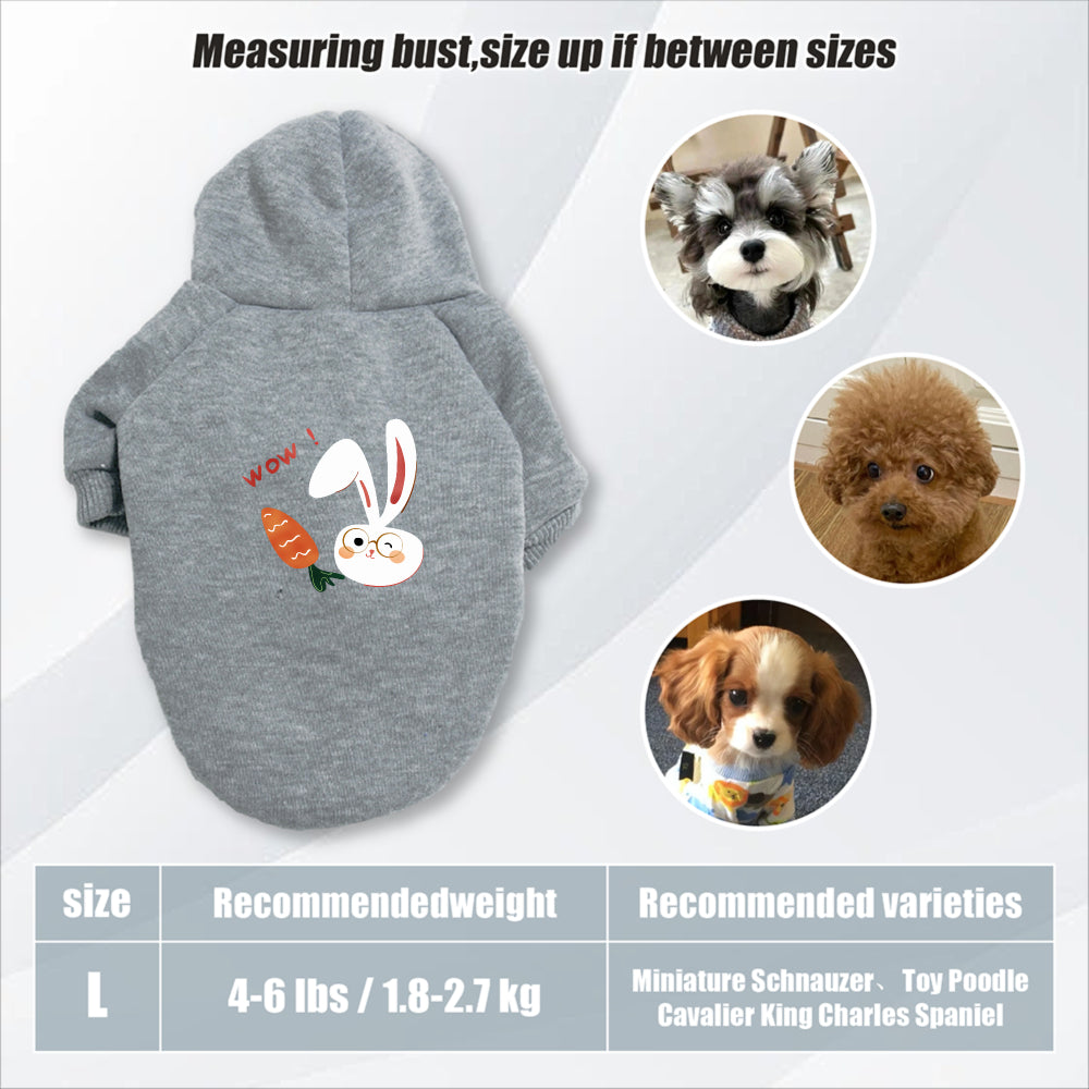 Sweat à capuche pour chien, avec imprimé lapin blanc et carotte mignon, diverses couleurs