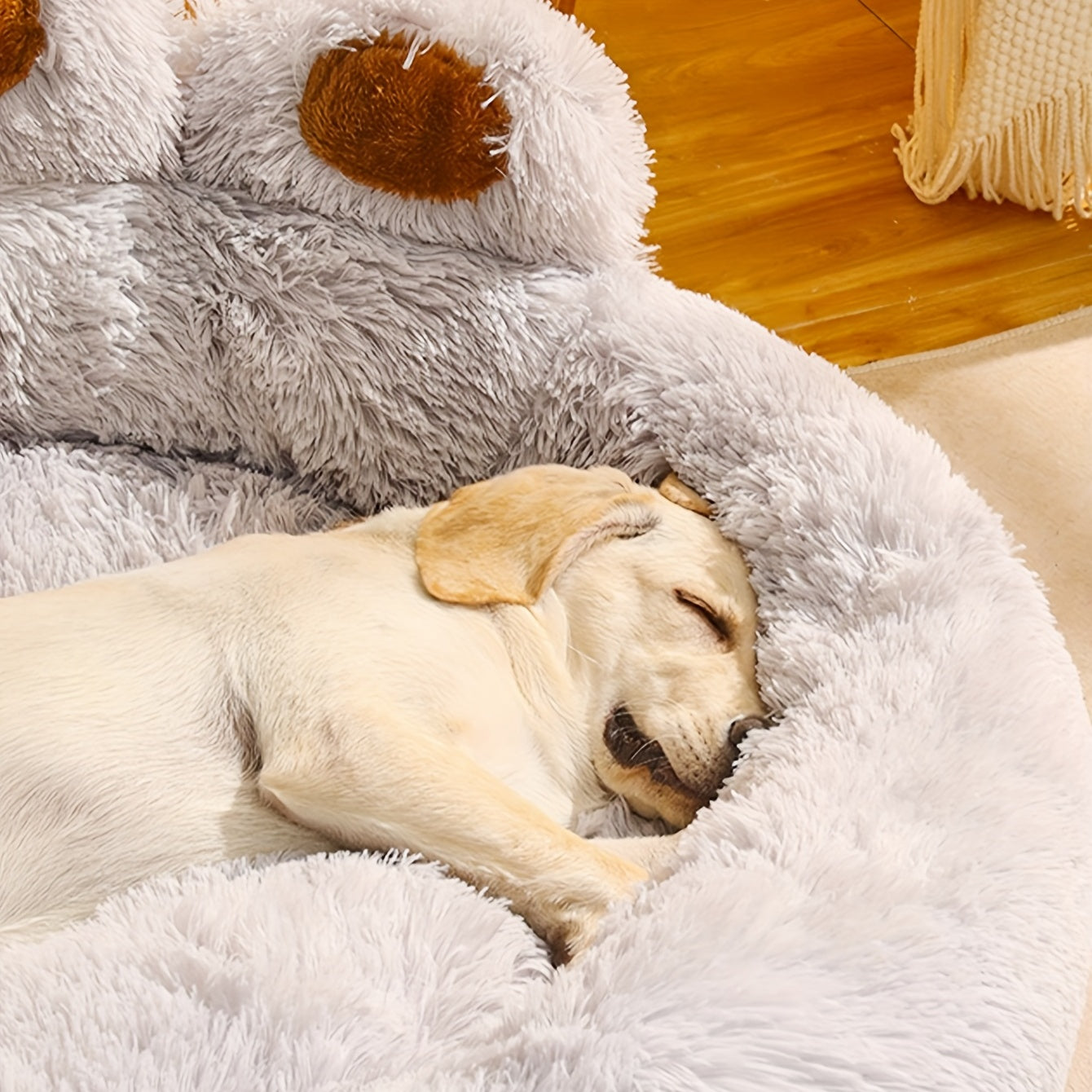 Lit douillet pour chien et chat en forme de patte d'ours, diverses couleurs, très chaud et confortable