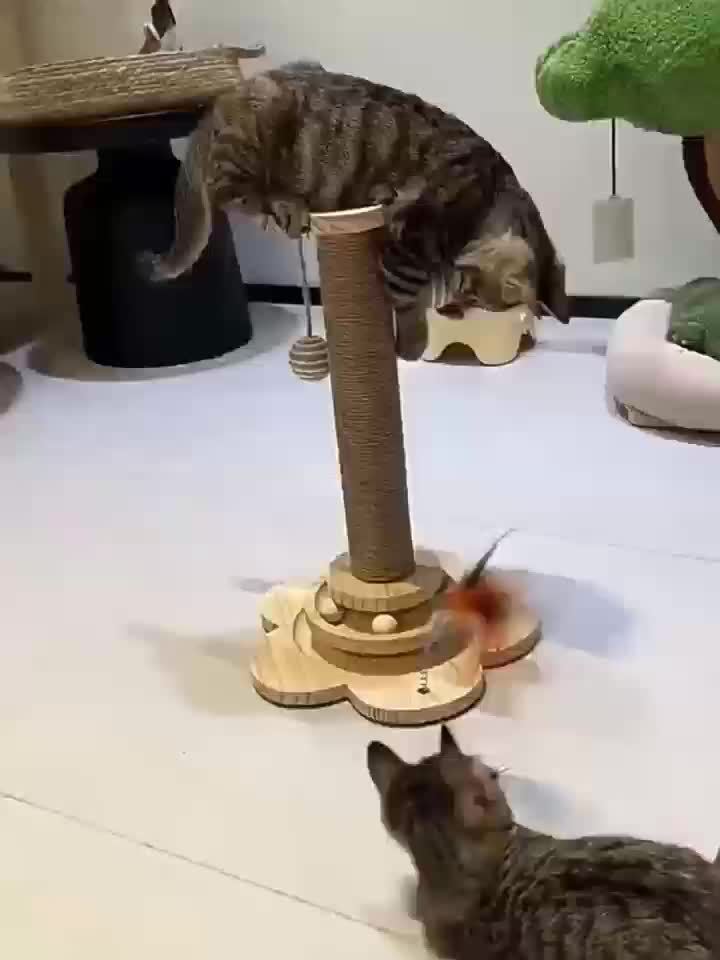 Combinaison griffoir et jouet pour chat avec un design rotatif à 360°, comprenant un griffoir, un poteau à double usage, des balles et des plumes artificielles, les couleurs peuvent varier