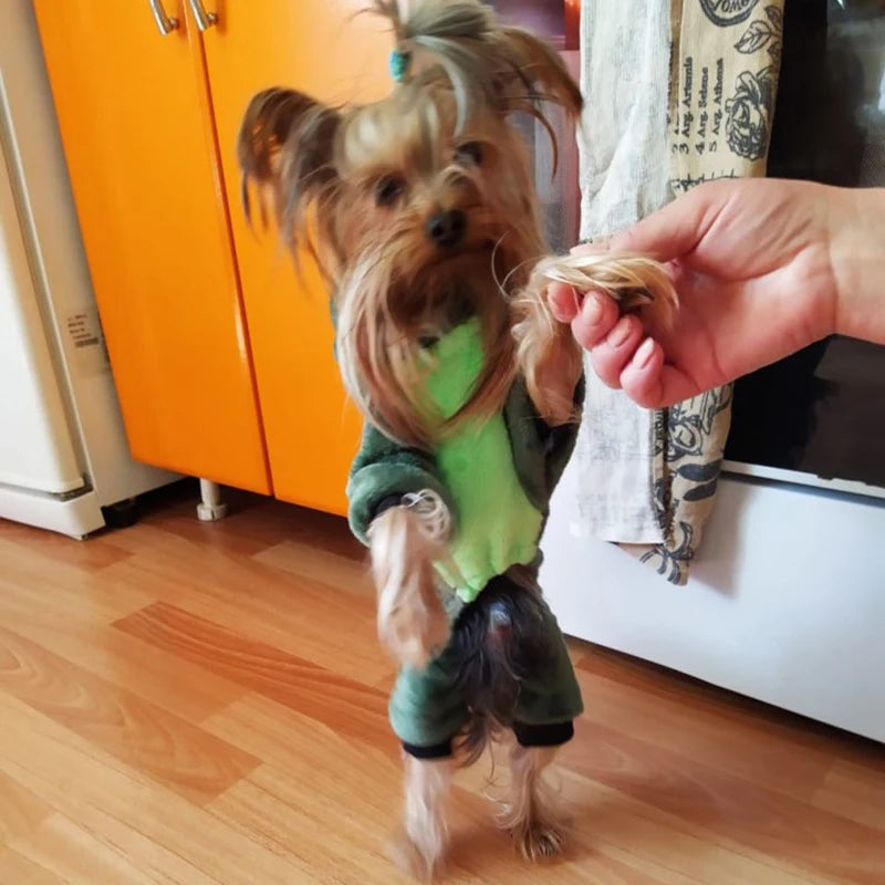 Costume d'Animal de Dessin Animé pour Petits Chiens et Chats, Combinaison Chaude d'Hiver, Pyjama pour Animaux de Compagnie, Vêtements pour Chiots