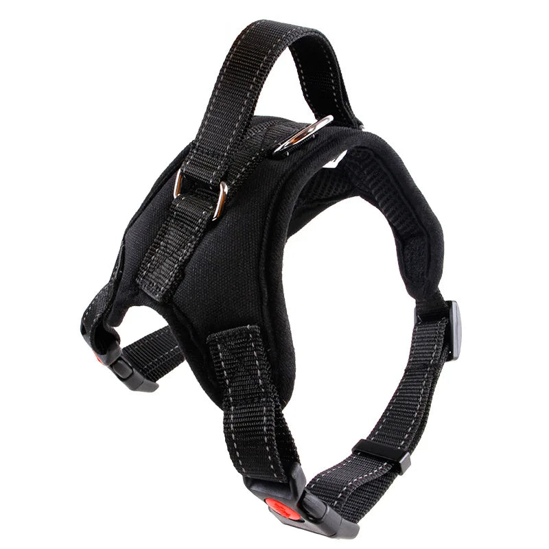 Harnais pour chien, de la taille S à la taille XL, diverses couleurs et divers motifs, + laisse en nylon, 4 tailles