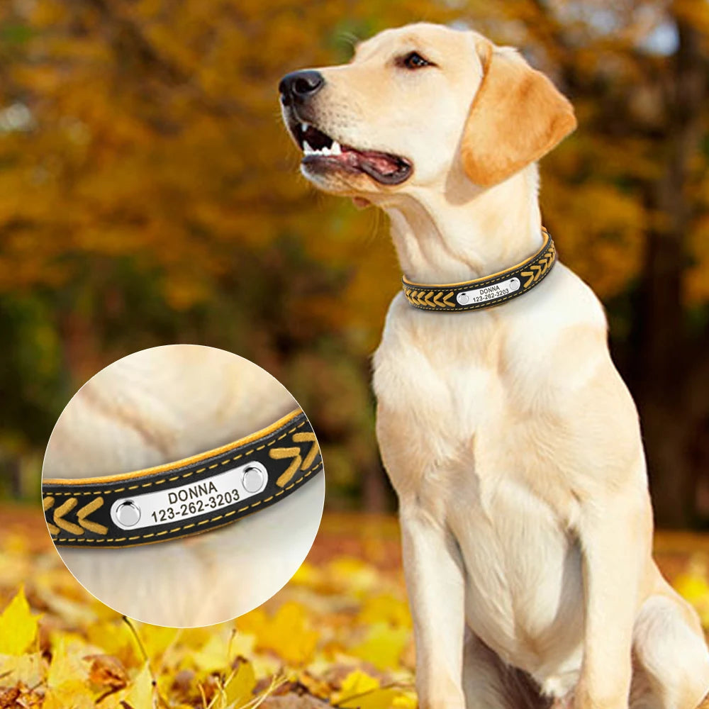 Collier de chien en cuir avec plaque pour personnalisation gratuite, pour les chiens de petite, moyenne et grande taille