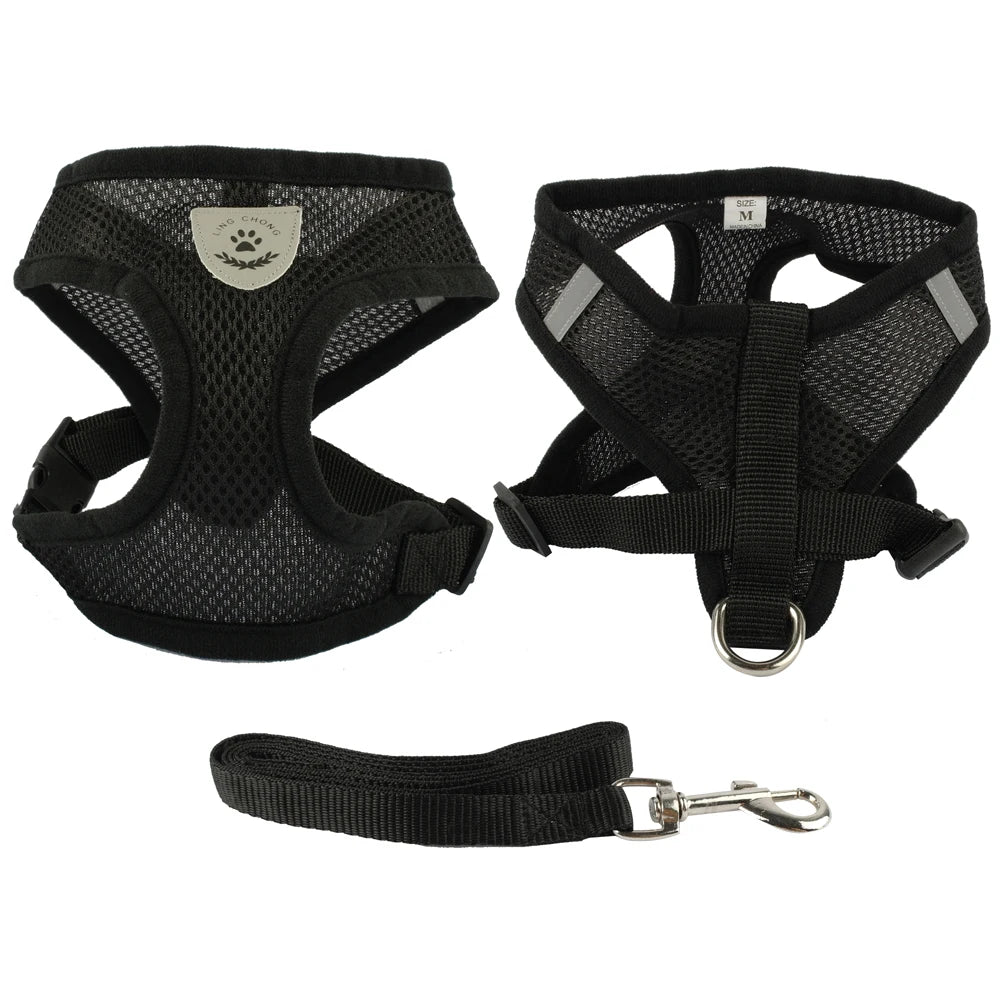 Ensemble de laisse + harnais en maille respirante pour petit chien et chien moyen, diverses couleurs