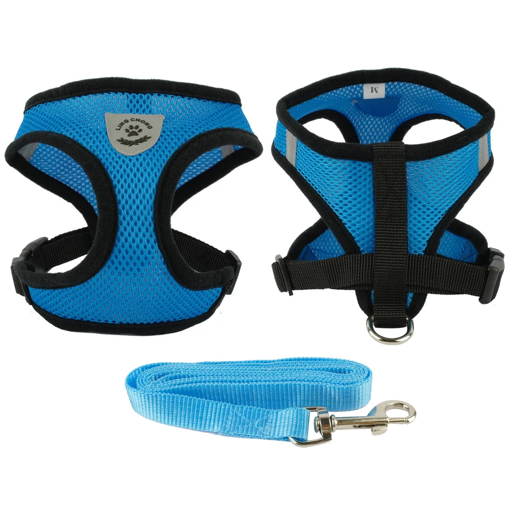Ensemble de laisse + harnais en maille respirante pour petit chien et chien moyen, diverses couleurs