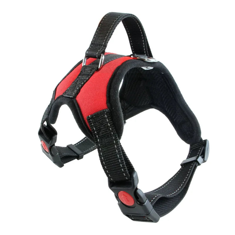 Harnais pour chien, de la taille S à la taille XL, diverses couleurs et divers motifs, + laisse en nylon, 4 tailles