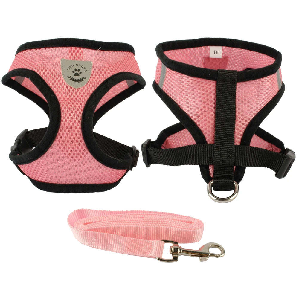 Ensemble de laisse + harnais en maille respirante pour petit chien et chien moyen, diverses couleurs