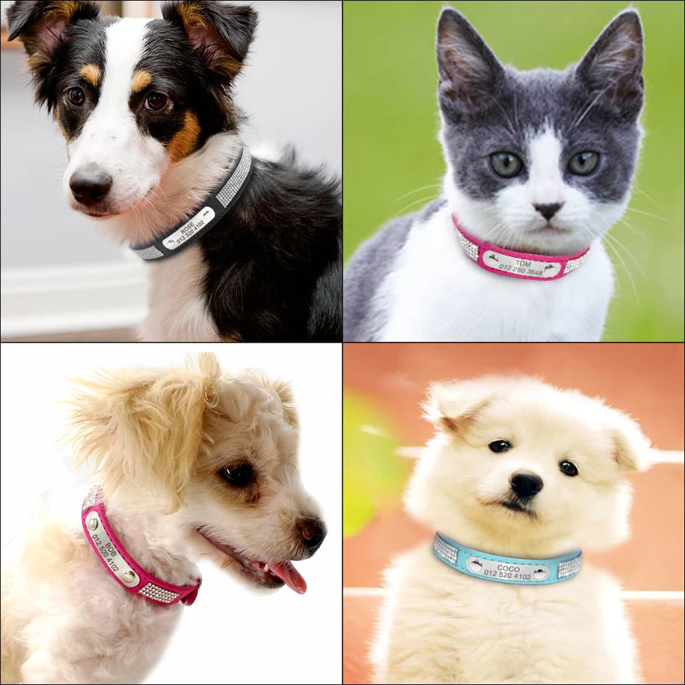 Collier de chien en cuir avec strass et plaque d'identification personnalisable gratuitement, pour petits et moyens chiens. Diverses couleurs