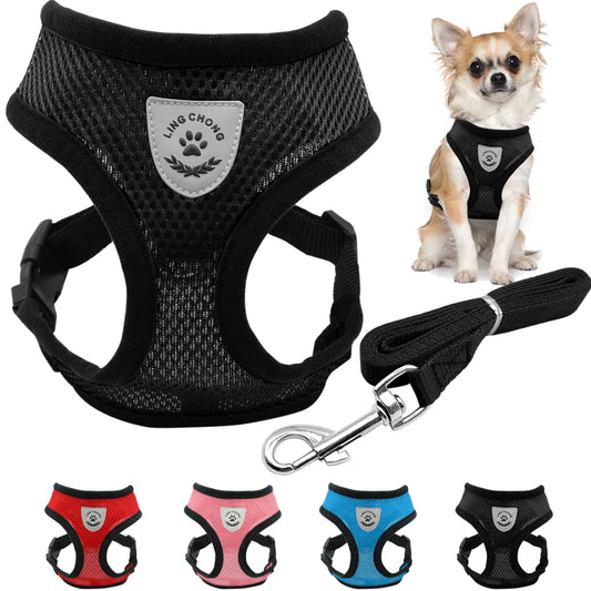 Ensemble de laisse + harnais en maille respirante pour petit chien et chien moyen, diverses couleurs