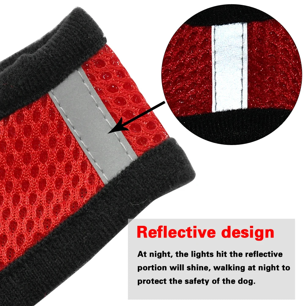Ensemble de laisse + harnais en maille respirante pour petit chien et chien moyen, diverses couleurs