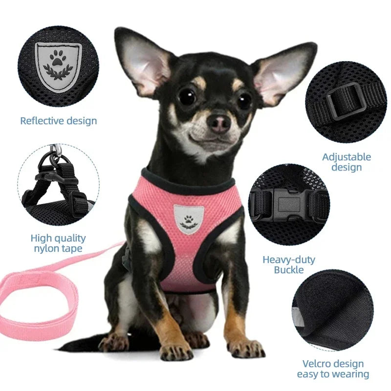Harnais + laisse assortie, pour chat et petit chien, maille respirante et confortable, diverses couleurs