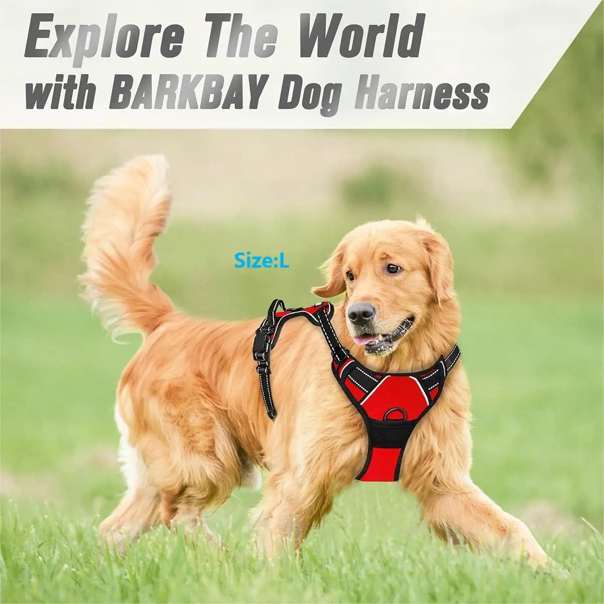 Harnais de sécurité pour chien, clip avant, poignée réfléchissante robuste, pour petits, moyens et grands chiens, diverses couleurs