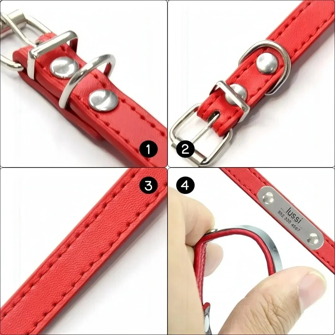 Collier de chien avec plaque d'identification, conception en cuir PU solide, pour chiens de petite, moyenne et grande taille, diverses couleurs