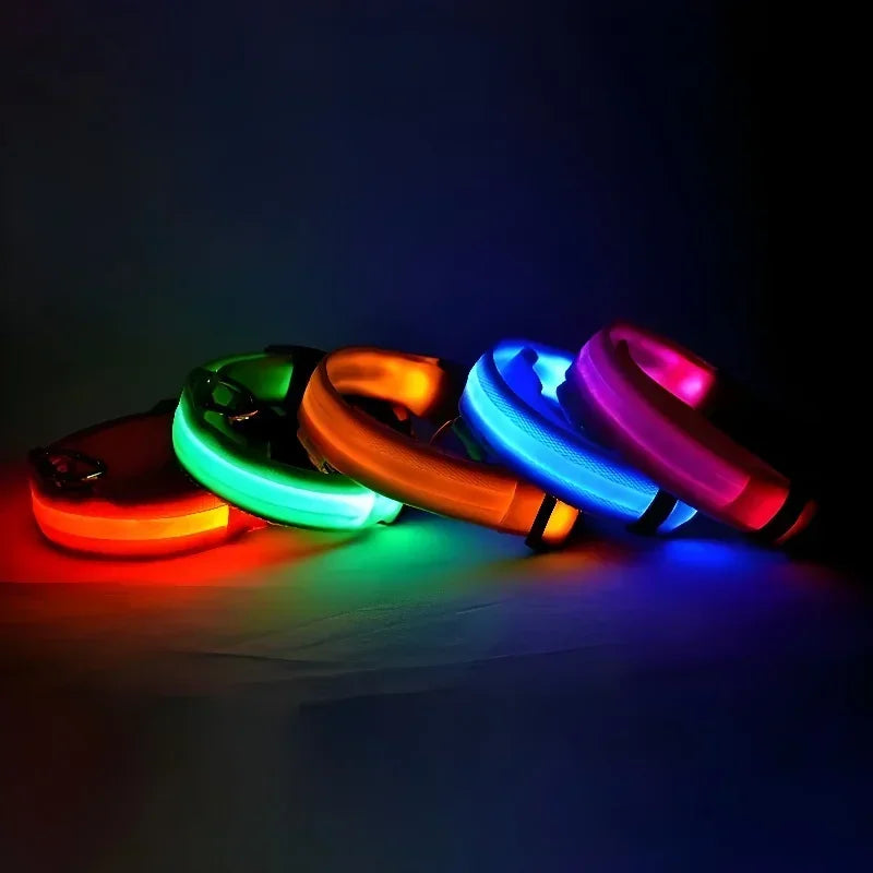 Collier pour chien en Nylon, LED clignotantes pour la sécurité nocturne, diverses couleurs