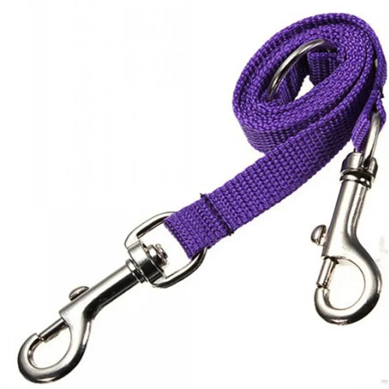 Laisse double pour promenade en extérieur de deux chiens, diverses couleurs