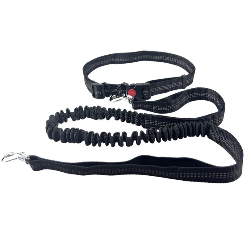 Laisse pour chien mains libres pour promenade, course à pied, jogging. Laisse réglable, ceinture abdominale, sangle thoracique, diverses couleurs