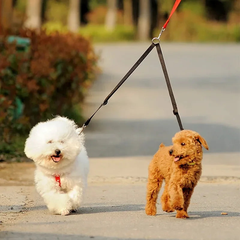 Laisse double pour promenade en extérieur de deux chiens, diverses couleurs