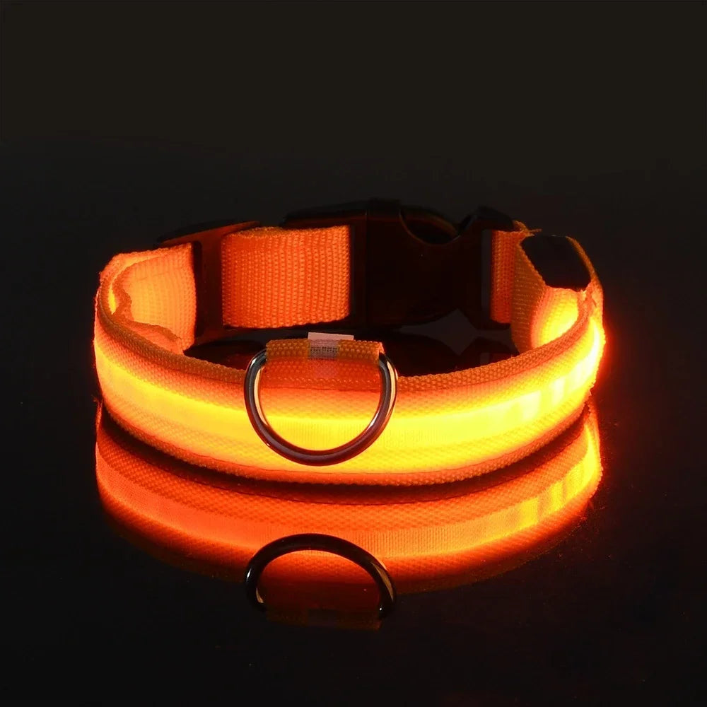Collier pour chien en Nylon, LED clignotantes pour la sécurité nocturne, diverses couleurs