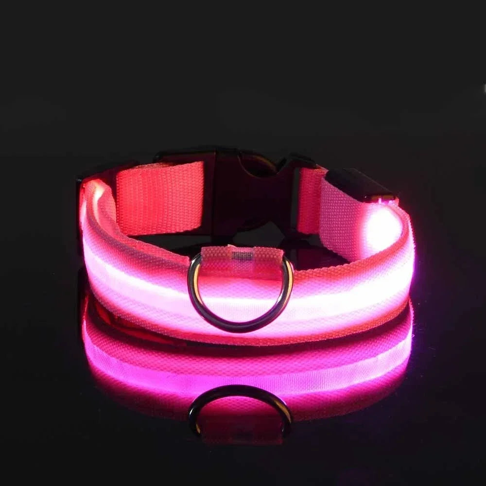 Collier pour chien en Nylon, LED clignotantes pour la sécurité nocturne, diverses couleurs
