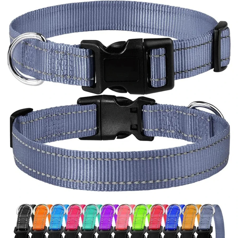 Collier ras de cou pour chiots et petits chiens, nylon robuste, diverses couleurs