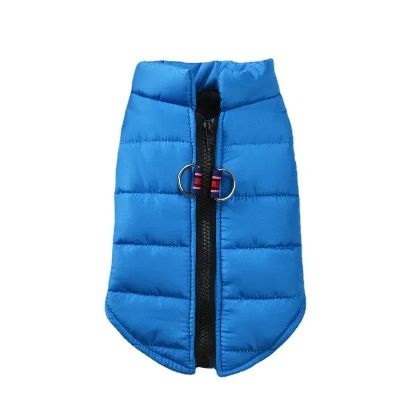 Manteau coupe vent pour petits chiens.