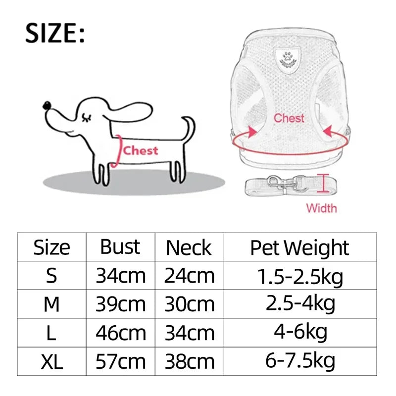 Harnais + laisse assortie, pour chat et petit chien, maille respirante et confortable, diverses couleurs